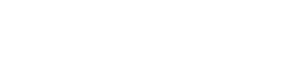 AsteInVista - Logo Footer